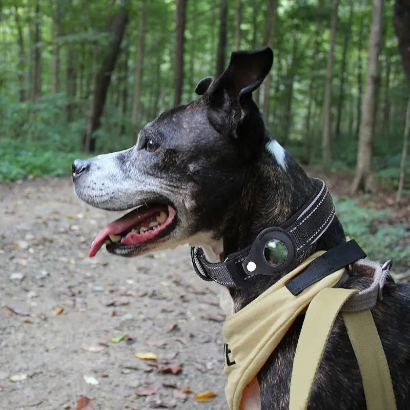 Air Tag Dog Collar - Anti-Lost Pet Dog Collar