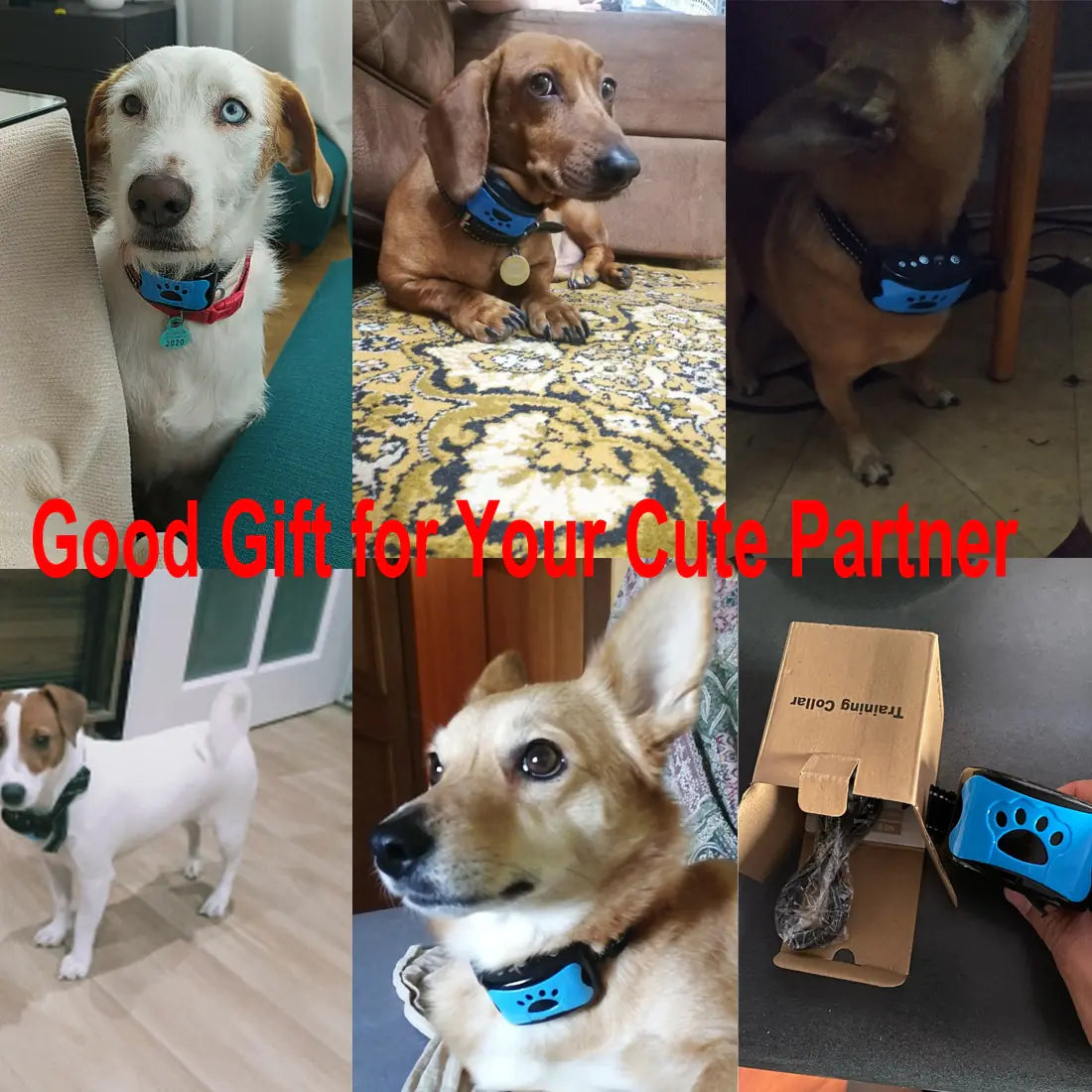 Dog Training Collar USB Rechargeable Ultrasonic Anti-Barking Dog Vibration Waterproof Collar